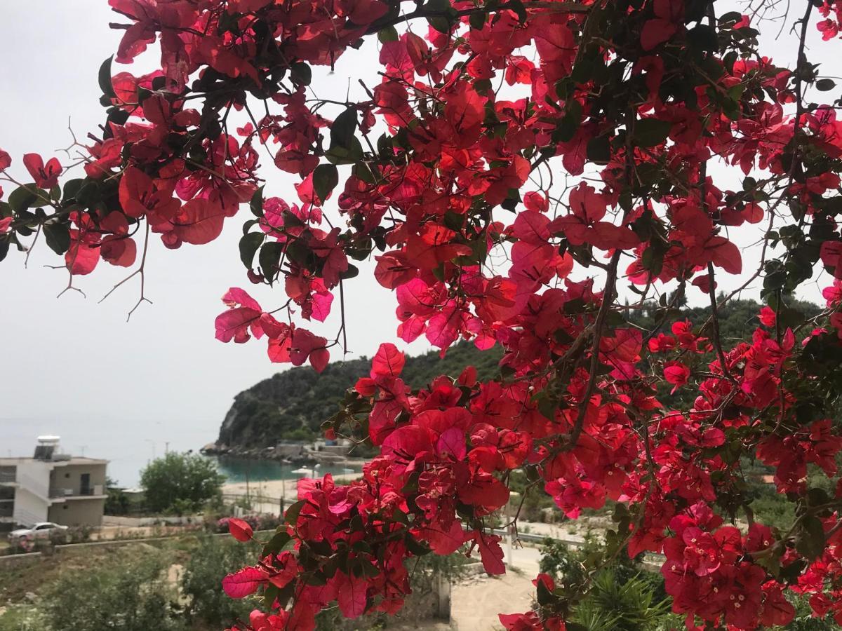 Villa Calliope Himare Exterior photo